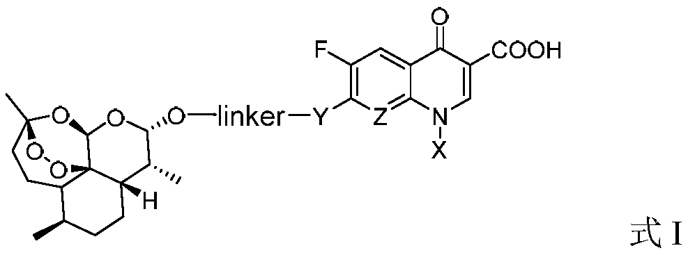 双氢青蒿素与喹诺酮偶联物在制备wnt信号通路激动剂中的