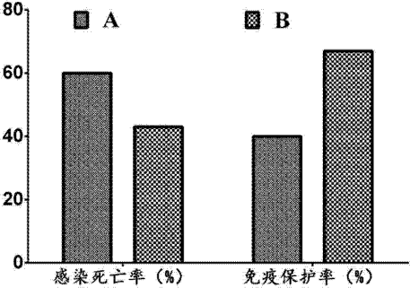 企查查