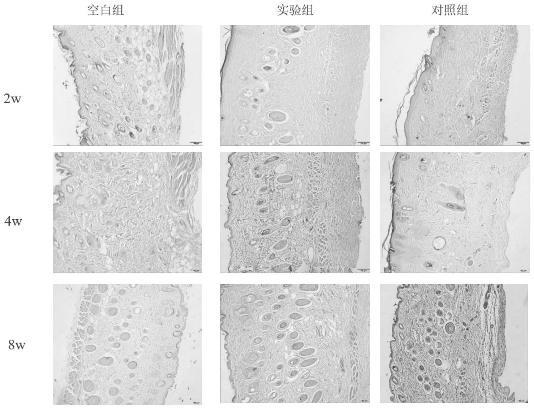 一种胶原蛋白的新型交联剂、交联胶原纤维的方法和应用_专利查询 - 企查查