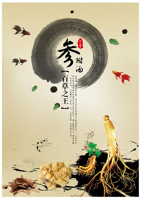 包装礼盒(参附汤)