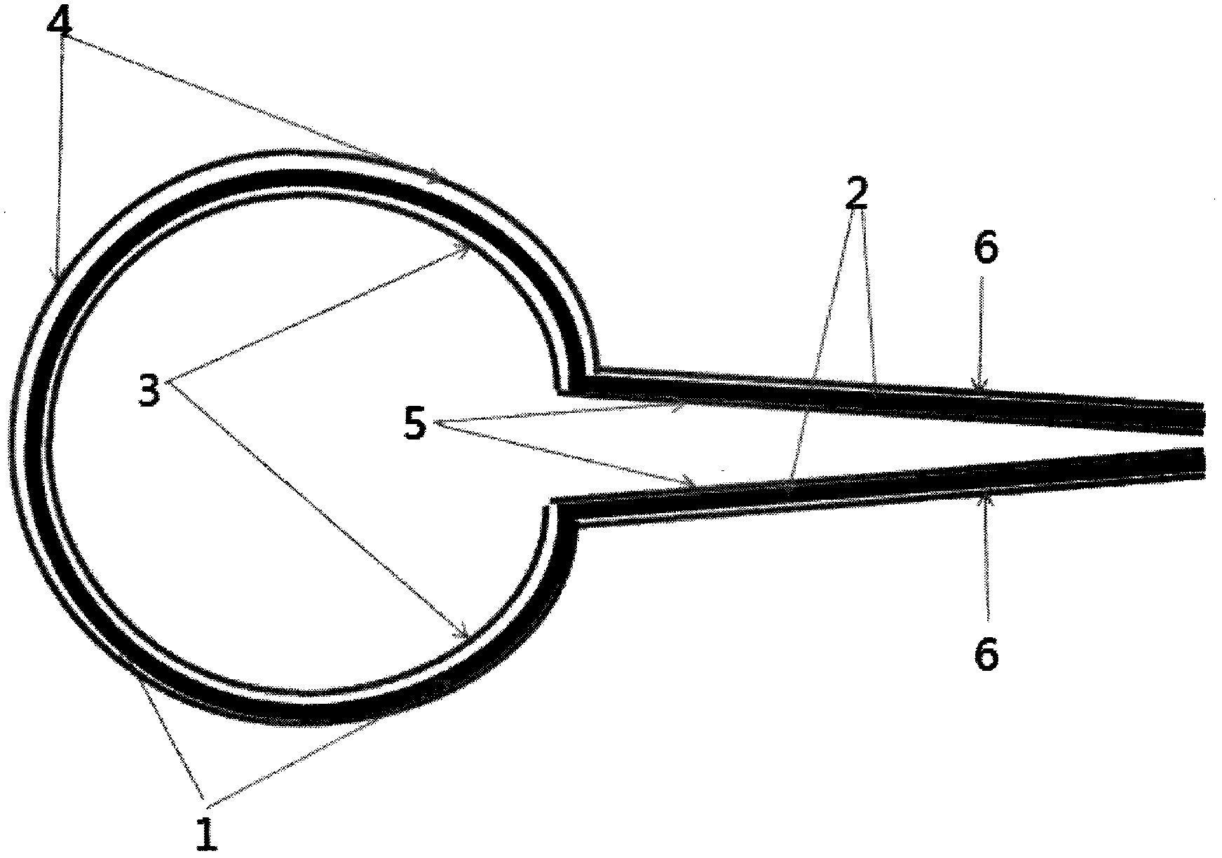一种石墨烯洗耳球