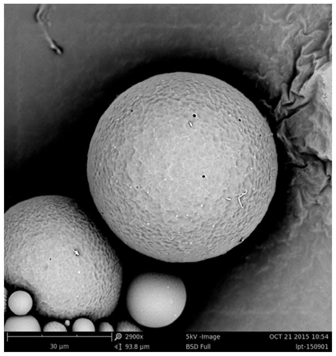 利培酮或其衍生物缓释微球、其制备方法及用途_专利查询 - 企查查